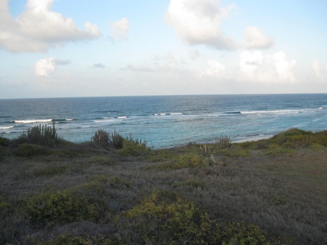 img_0210.jpg