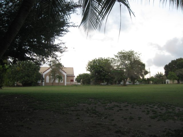 img_0558.jpg
