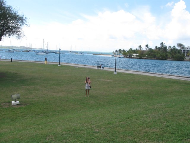 img_0610.jpg