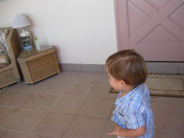 img_0734.jpg