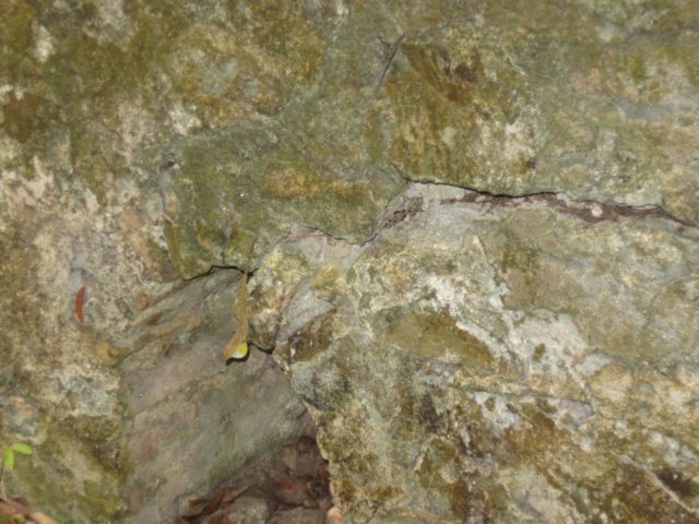 img_0908.jpg