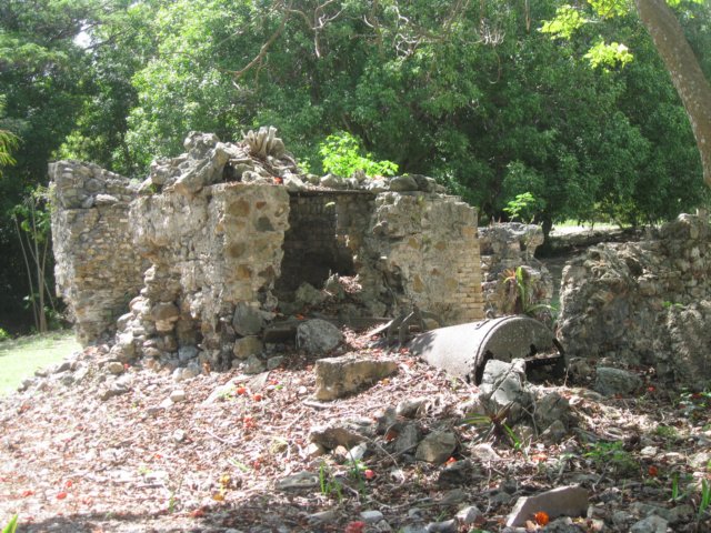 img_0925.jpg