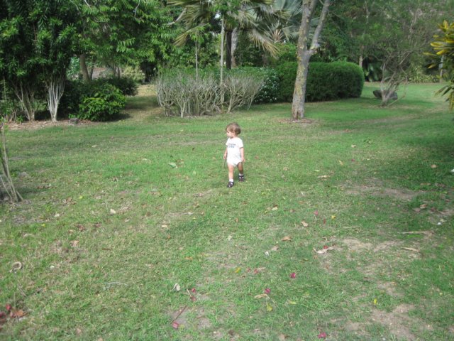 img_0943.jpg