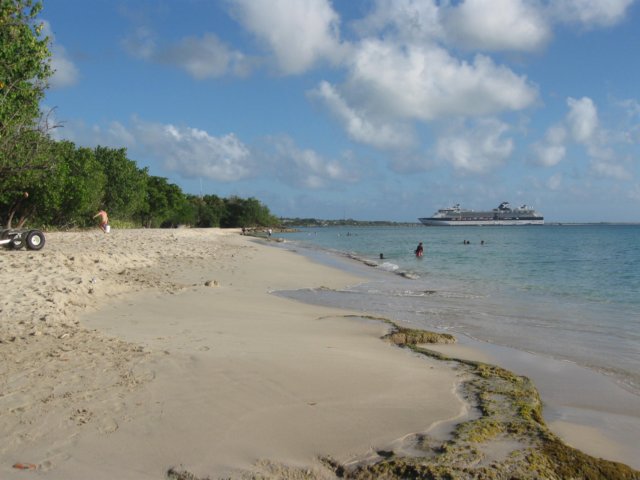 img_0979.jpg