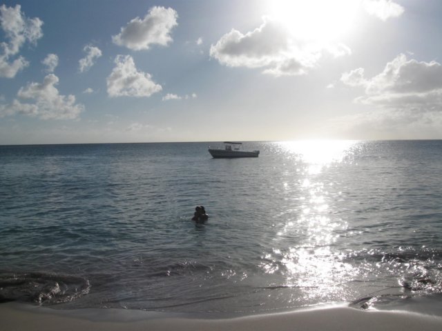 img_0986.jpg