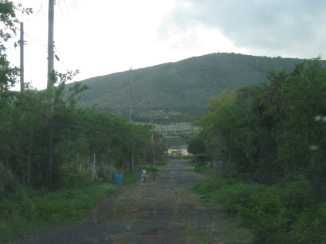 img_1079.jpg