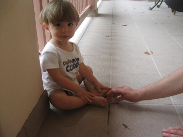 img_1237.jpg