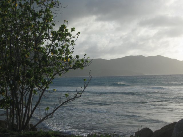 img_1256.jpg