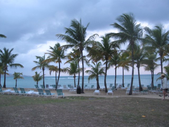 img_1555.jpg