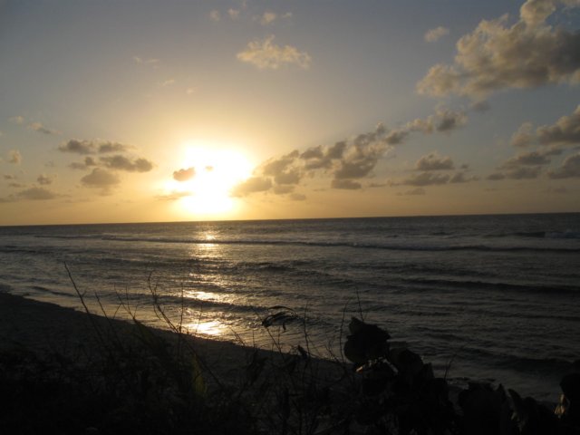 img_1600.jpg