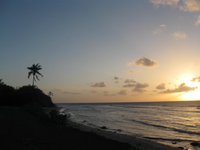 img_1605.jpg