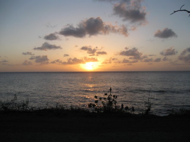 img_1607.jpg