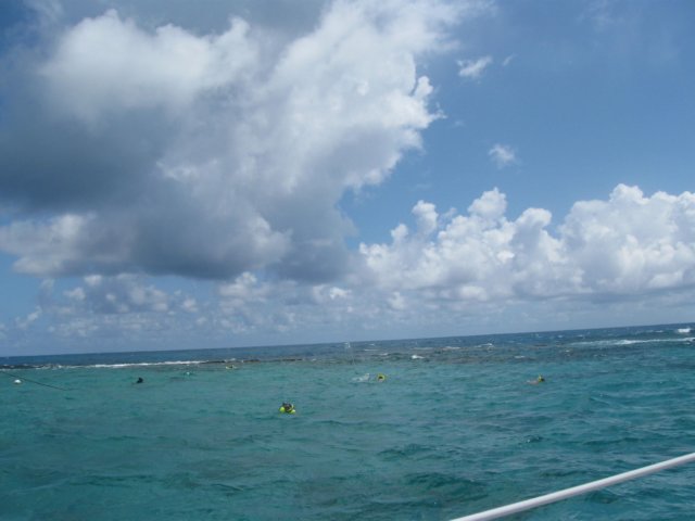 img_1946.jpg